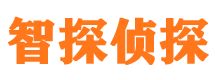 锦江侦探公司